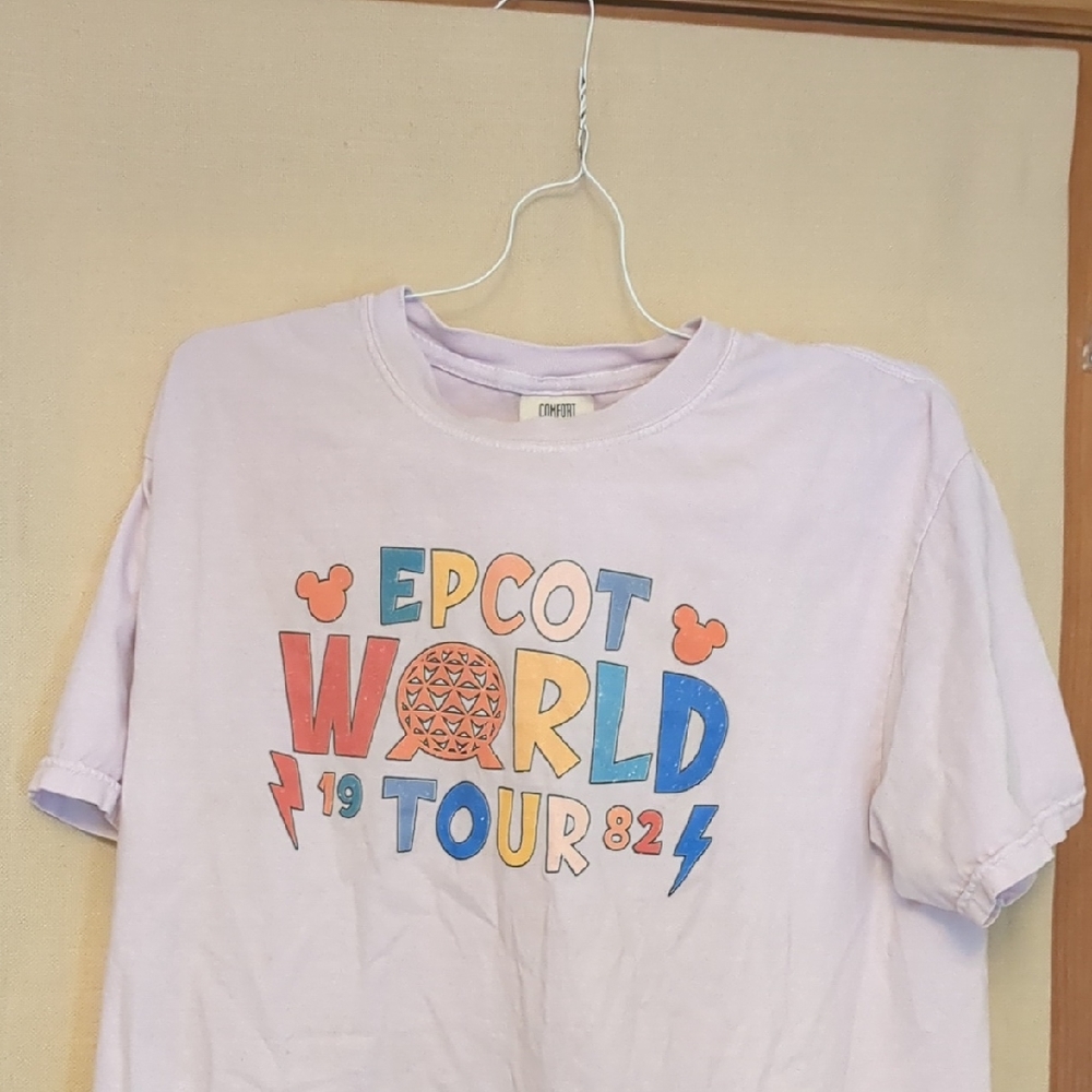 Epcot World Tour 1982 Comfort Colors Pink Vintage Graphic T-Shirt Size Large